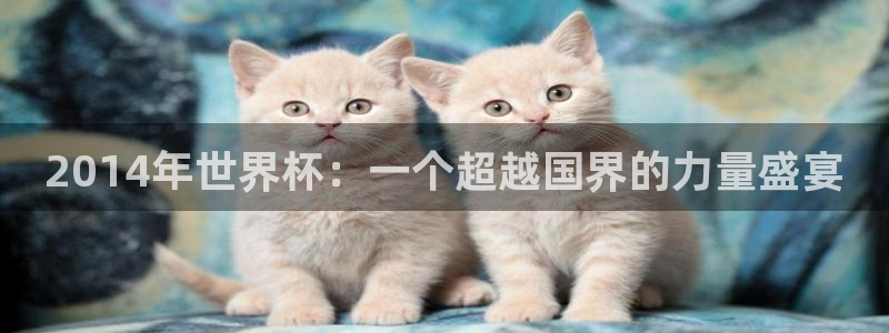 足球世界杯赛程：2014年世界杯：一个超越国界的力量盛宴