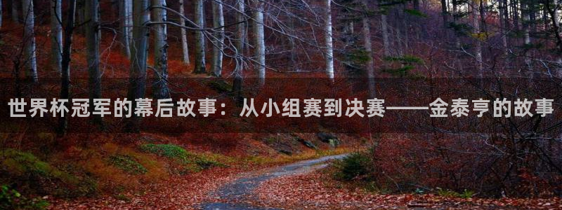 世界杯球赛：世界杯冠军的幕后故事：从小组赛到决赛——金泰亨的故事