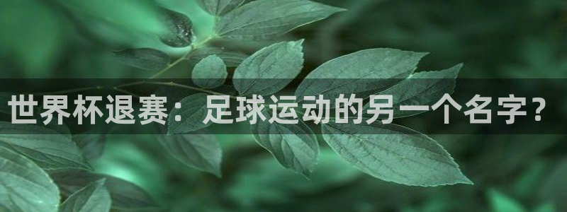 2006年世界杯：世界杯退赛：足球运动的另一个名字？