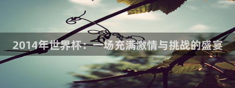 世界杯小组赛赛程：2014年世界杯：一场充满激情与挑战的盛宴