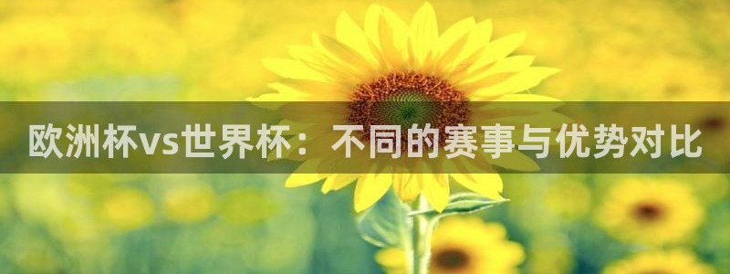 2026年男足世界杯：欧洲杯vs世界杯：不同的赛事与优势对比