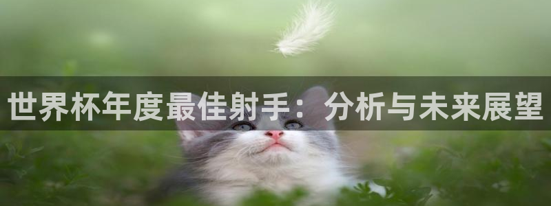 2026年世界杯时间表：世界杯年度最佳射手：分析与未来展望