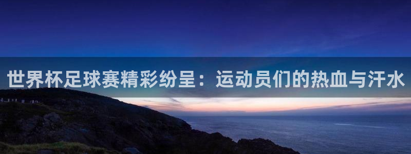 2026世界杯南美区积分榜：世界杯足球赛精彩纷呈：运动员们的热血与汗水