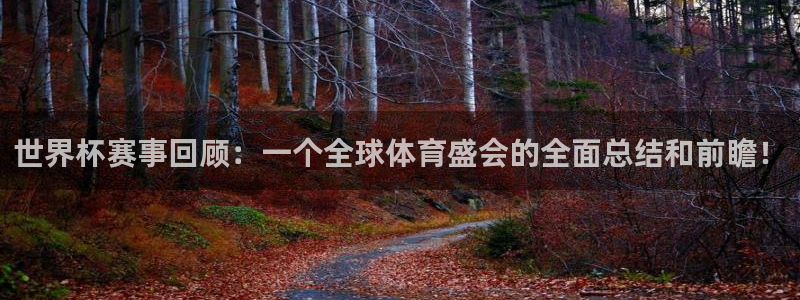 欧洲世预赛赛程表：世界杯赛事回顾：一个全球体育盛会的全面总结和前瞻！