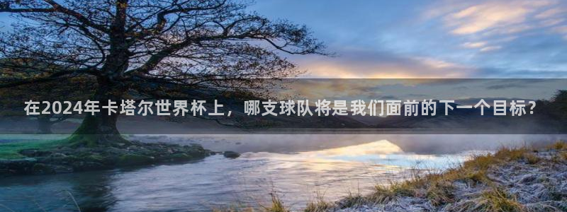 2026年男足世界杯：在2024年卡塔尔世界杯上，哪支球队将是我们面前的下一个目标？