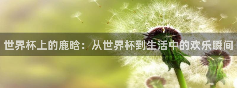 亚洲杯足球：世界杯上的鹿晗：从世界杯到生活中的欢乐瞬间