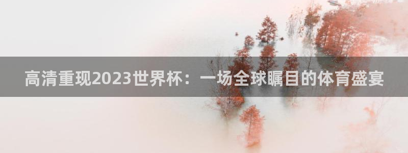 2026 世界杯：高清重现2023世界杯：一场全球瞩目的体育盛宴