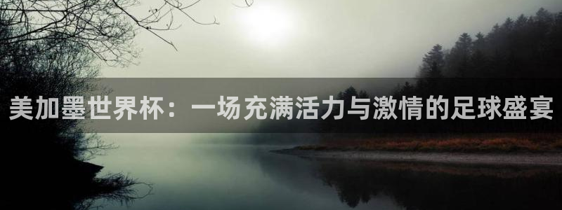 2026世界杯赛制：美加墨世界杯：一场充满活力与激情的足球盛宴